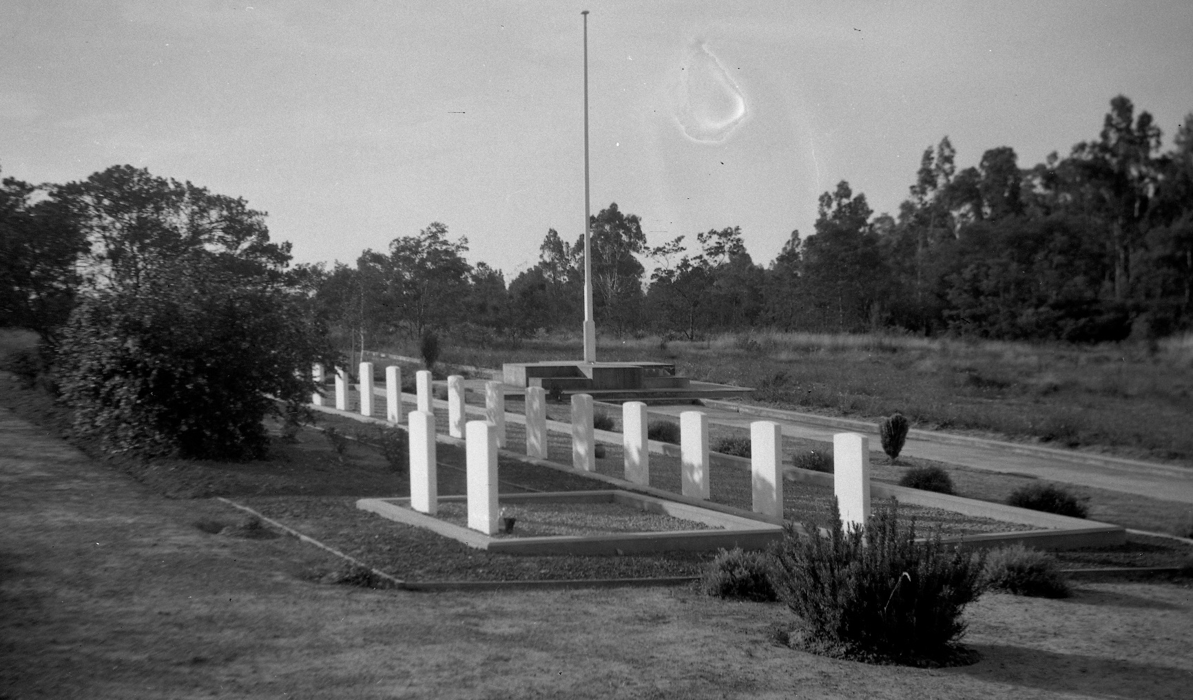 Black and white photo of a row of white headstones surrounded by grass and scrub