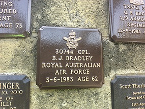 Image of a single bronze plaque on a wall.