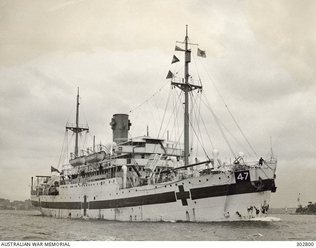 Sydney, NSW. 1943. Starboard bow view of the hospital ship Centaur, AWM