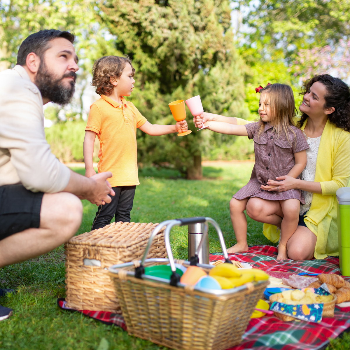 image of family enjoying picnic