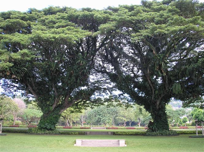 CWGC Memorial to the Missing, Ambon War Cemetery