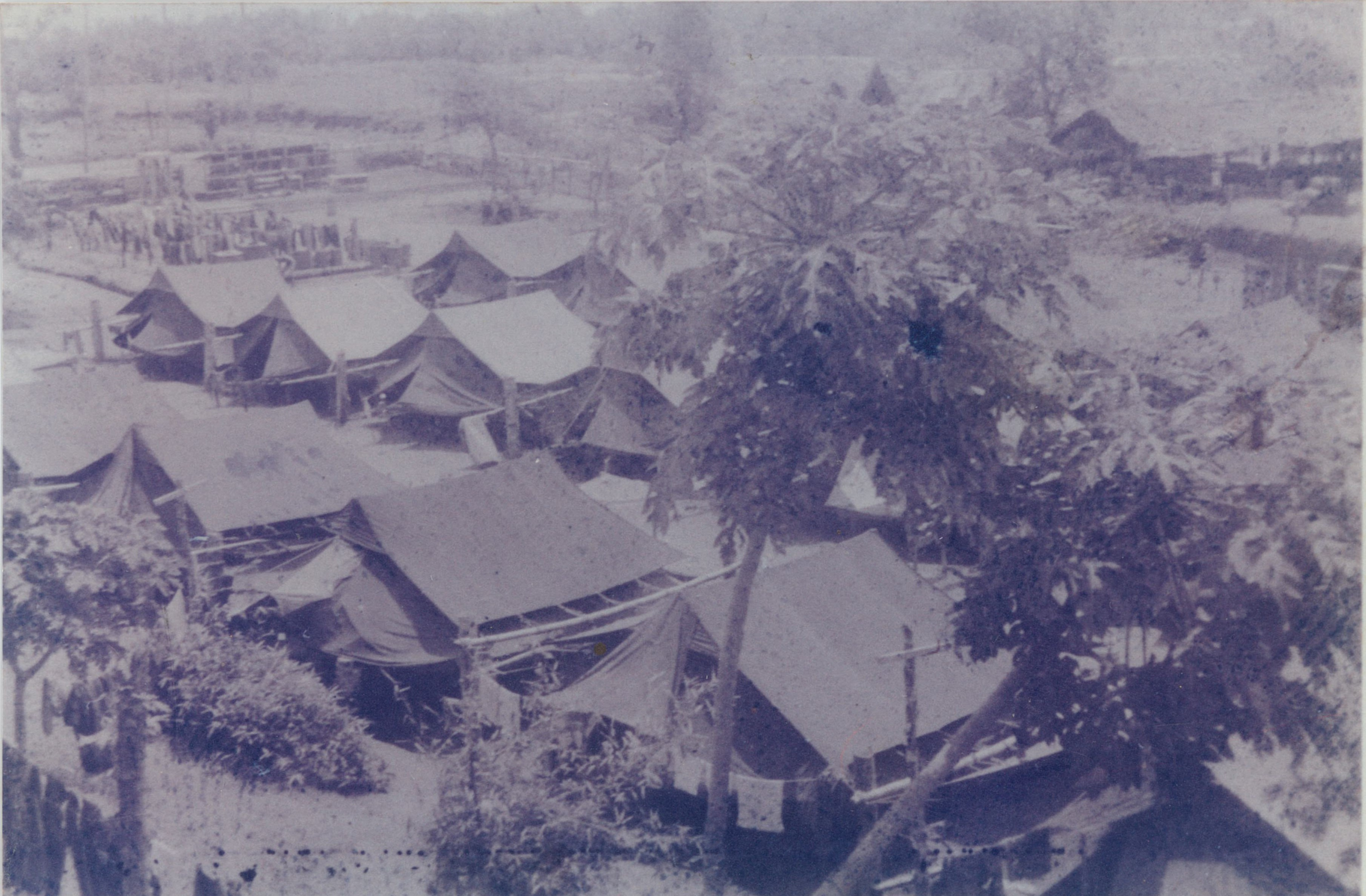 Australian quarters at Rabaul which accommodated six men per tent, each sleeping on a folding camp bed. Over the course of his life, Fred has contracted malaria five times