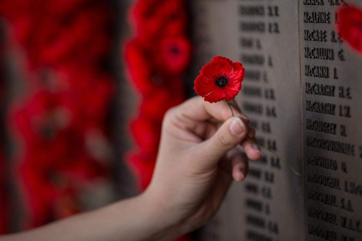 Hand placing poppy on Roll of Honour at AWM