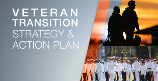 Transition Strategy and Action plan tile. An image of two people silhouette against a sunrise and an official ceremony participants all wearing white dress uniforms