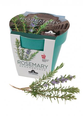 Box with the word Rosemary on it, next to sprig of rosemary