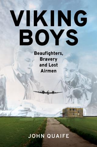 Book cover of book called Viking Boys